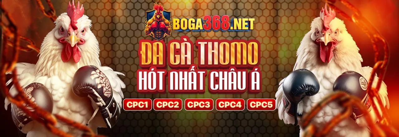 Đá gà trực tuyến tại M88